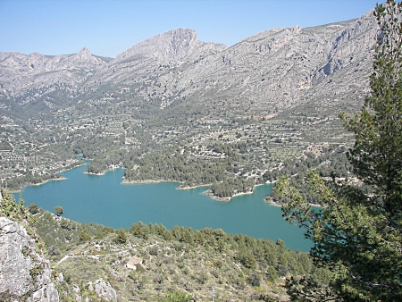 Image Image