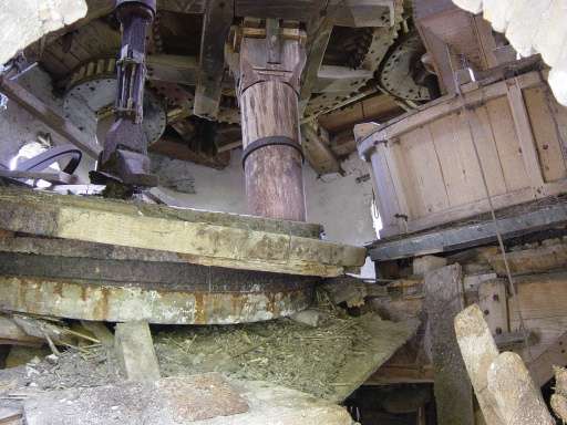 Image Image