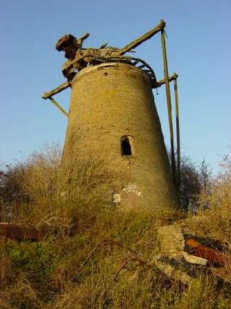 Image Image