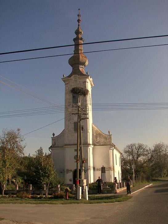 Image Image